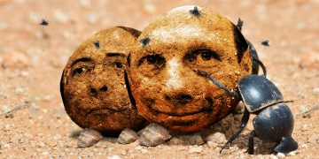 “Estrume e Bosta” a dupla que está destruindo o Brasil