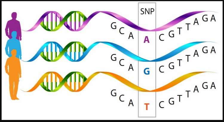 PL 3225, a Lei do Chupa-Cabra