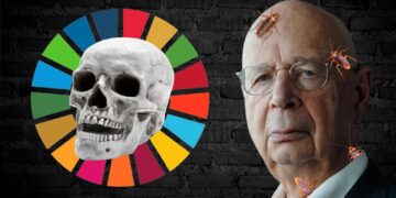 Reset Global: Como o WEF e a ONU Estão Redefinindo o Mundo