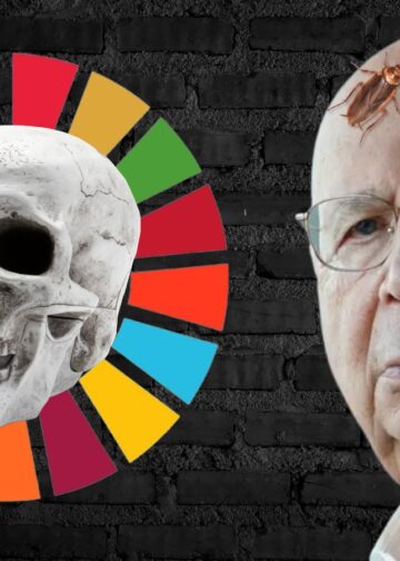 Reset Global: Como o WEF e a ONU Estão Redefinindo o Mundo