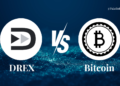 BTC [X] DREX: Por que devemos nos preparar agora?