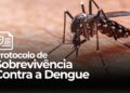 Protocolo de Sobrevivência Contra a Dengue