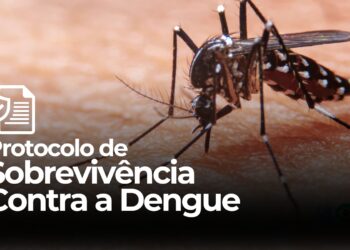 Protocolo de Sobrevivência Contra a Dengue