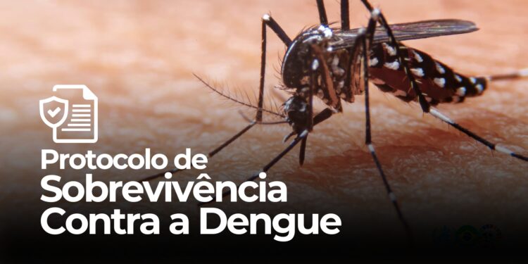 Protocolo de Sobrevivência Contra a Dengue