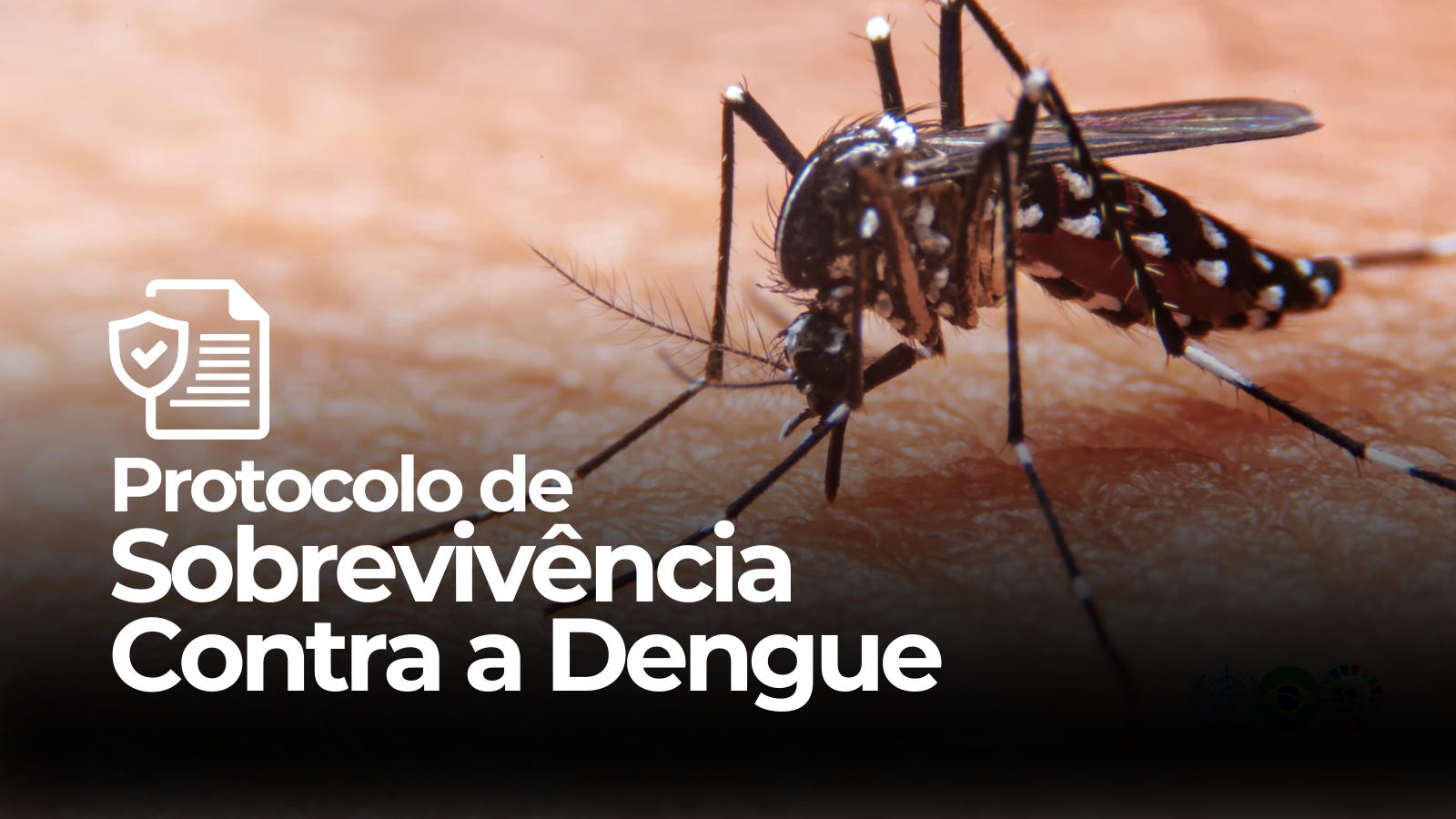 Protocolo contra a Dengue tem ajudado inúmeras pessoas.