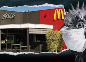 McDonald’s na Austrália Reduz Horário Devido narrativa da Gripe Aviária