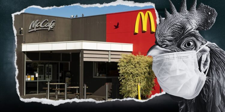 McDonald’s na Austrália Reduz Horário Devido narrativa da Gripe Aviária