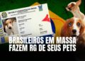 RG para Pets: Nova Medida de Proteção ou Estratégia de Controle Disfarçada?