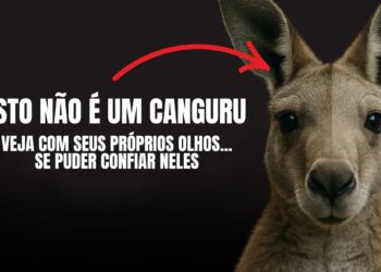 Isto Não Aconteceu. Mas Você Vai Acreditar Que Sim.