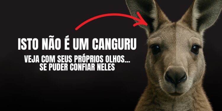 Isto Não Aconteceu. Mas Você Vai Acreditar Que Sim.