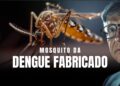 Mosquito da Dengue Fabricado